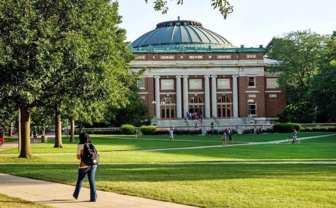 中国人养活了全美国的野鸡大学?这已成现实