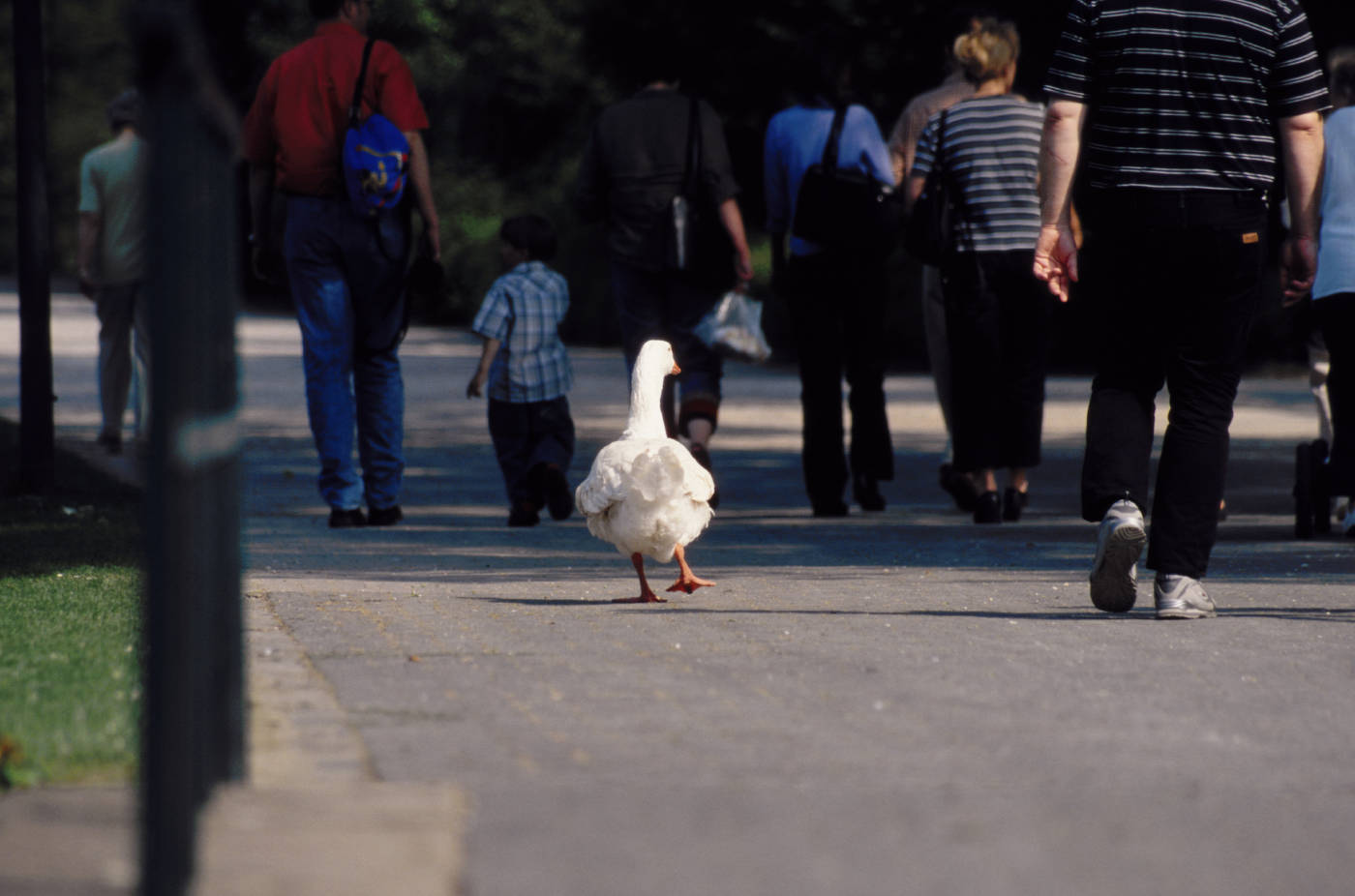 别人说metoo怎么回答,别人说metoo怎么回复