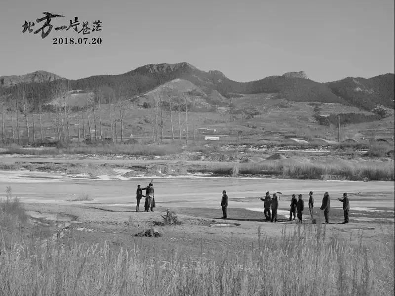 7月看什么板块,7月最值得看的电视剧是什么