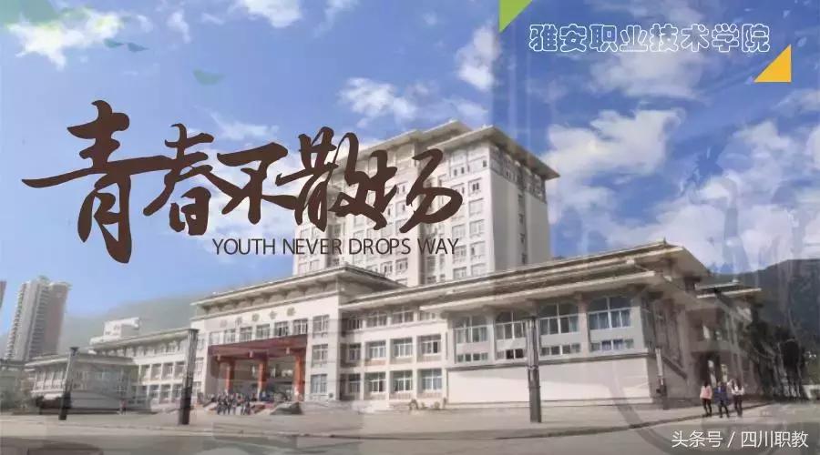 四川最美专科大学，各个都长得这么好看