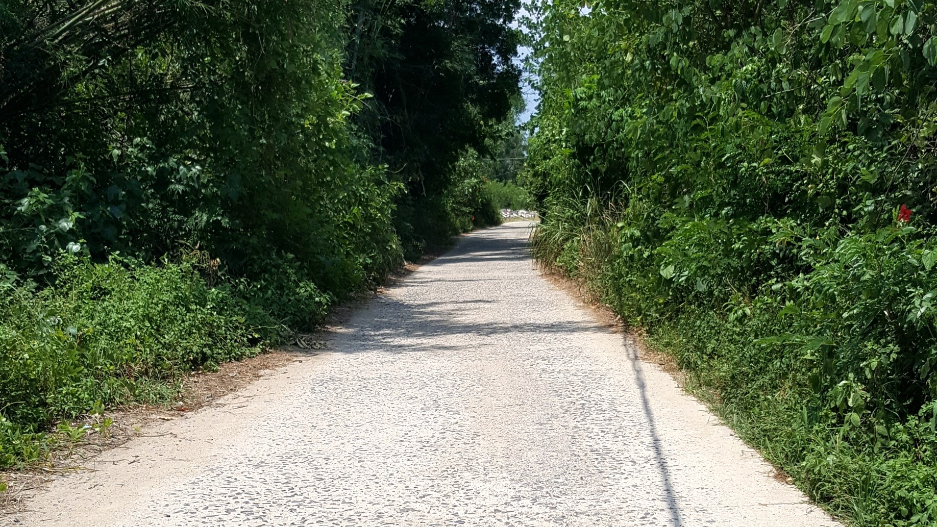 中国沿海旅行D4，天堂角到犀牛脚，人间难得一见钦州湾