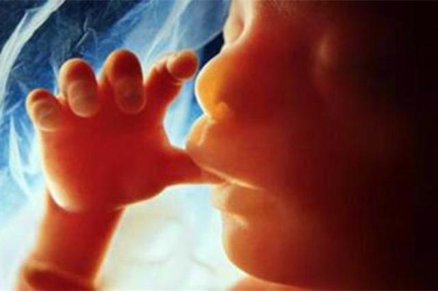 胎宝宝就几个时间点比较活跃,29周了胎宝宝很活跃