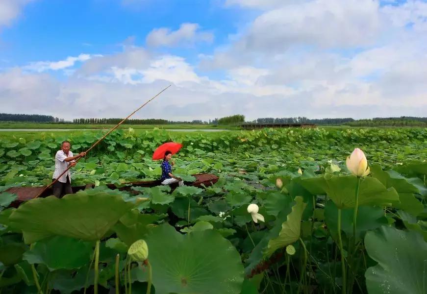 睢宁湿地公园游泳,睢宁室内公园水上乐园