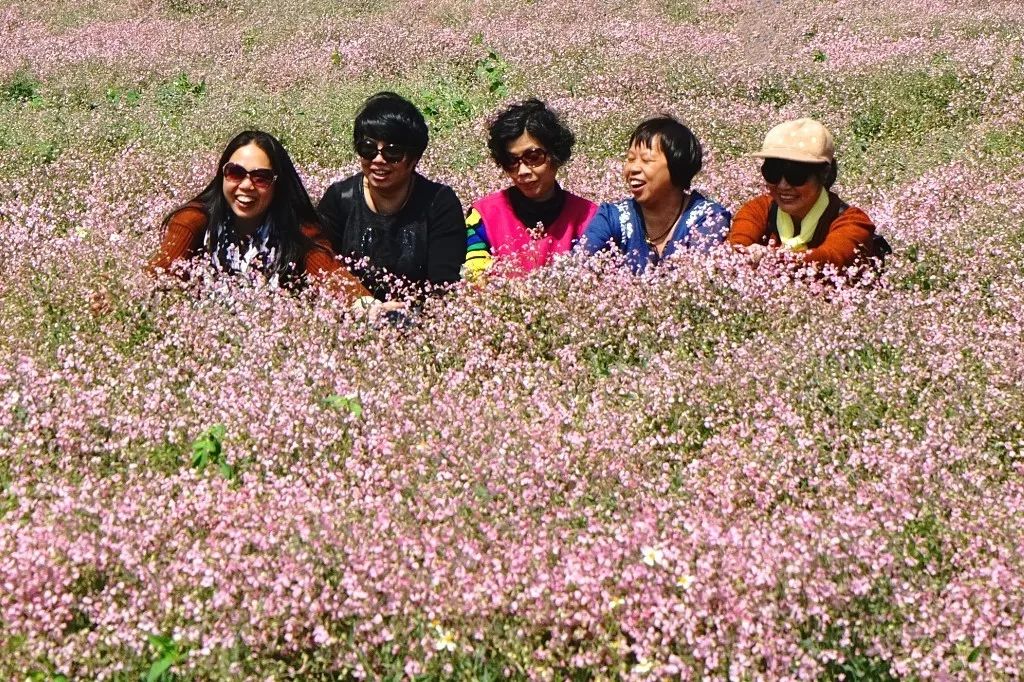 快来pick！一起助力佛山这条村冲击“2018中国最美村镇”！