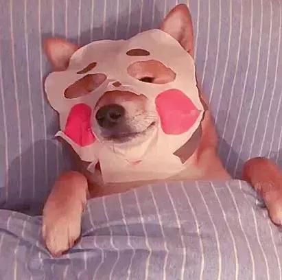 日本药妆必买限定款,日本药妆必买2023