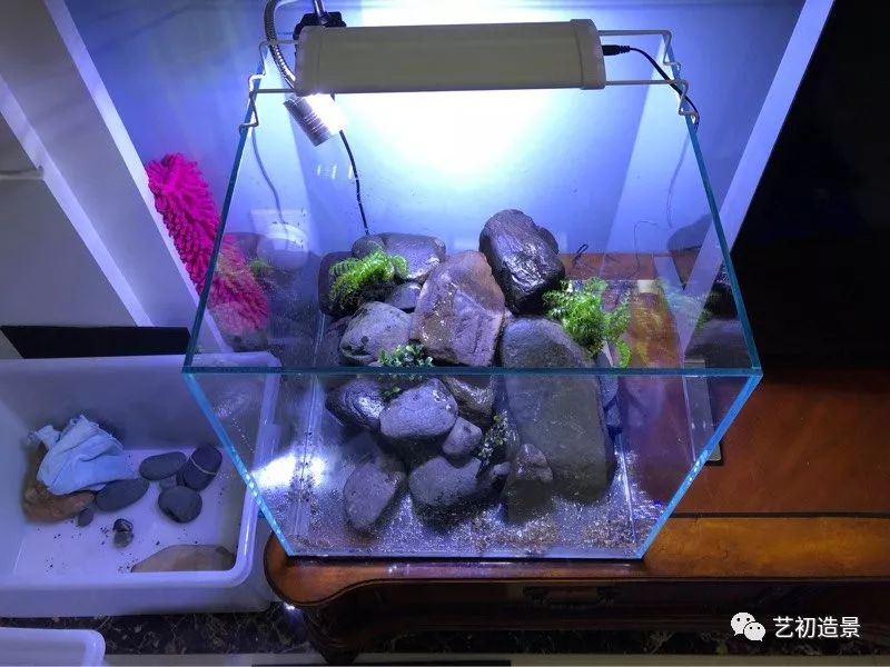 虾虎缸造景要什么过滤器,虾虎缸用什么石头造景好