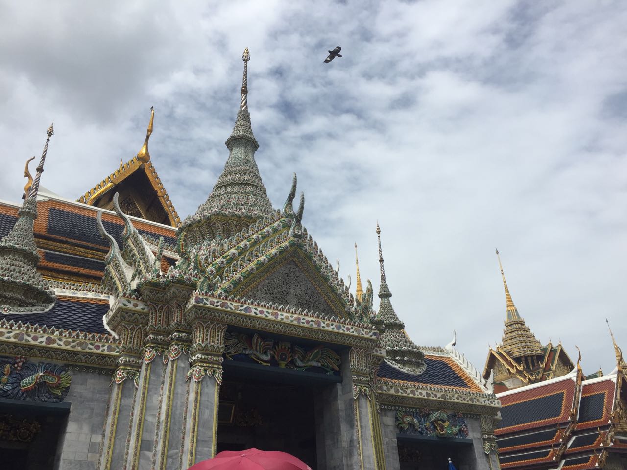 不胜唏嘘!风华正茂的湘妹子打算遁入空门皈依佛教,怎么拉回来呢