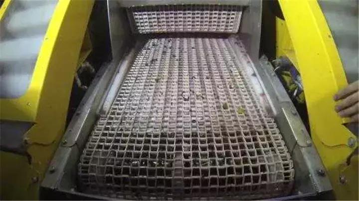 国外让人惊叹的农机收割葡萄,德国收割机收葡萄视频