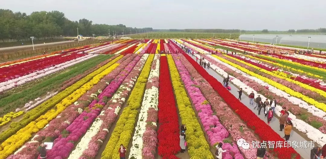 宝坻区哪几个镇最好,宝坻哪里风景最好