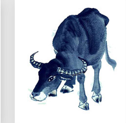 十二生肖六合与三合有什么区别,十二生肖三合和六合详解