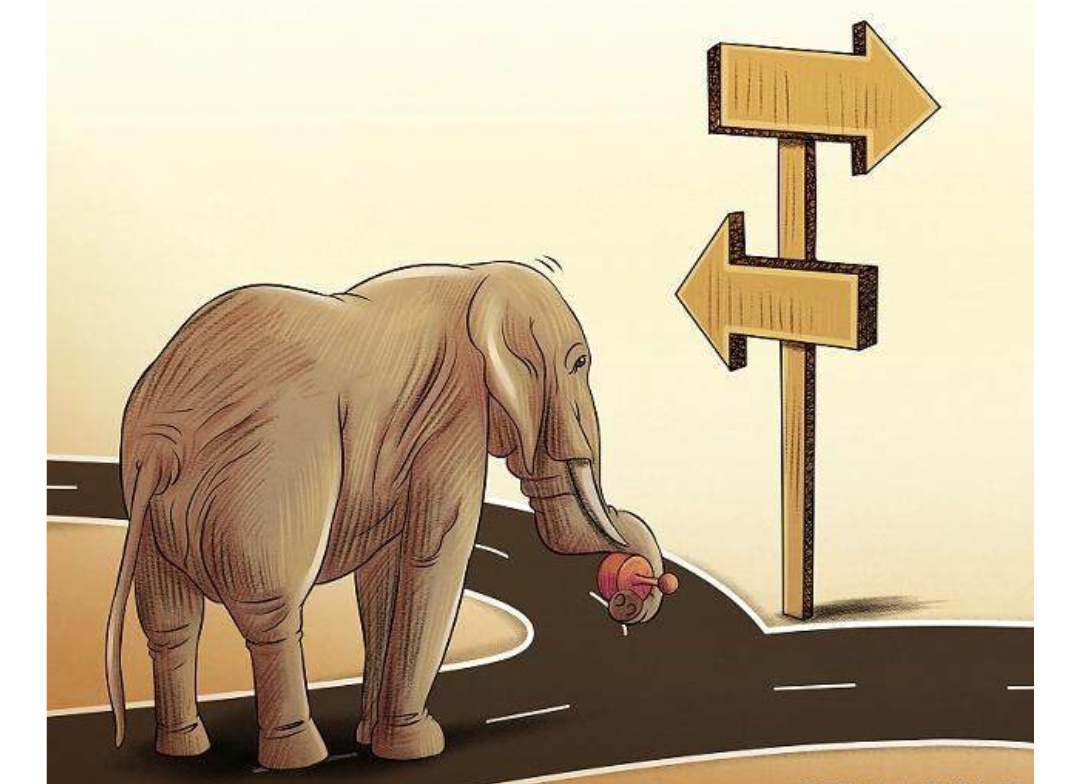 毕业后做什么工作工资最高,毕业了找工作看你啥