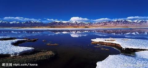 地方特色名酒,新疆名酒伊力特曲的价格