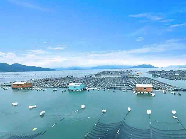 海鱼肉质鲜美，营养价值也高的10种鱼，你吃过几种？