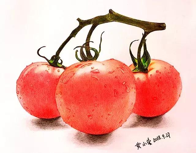 儿童彩铅画番茄,彩铅画写生番茄