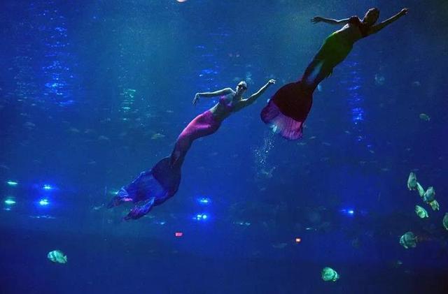 俄罗斯队夺冠视频,俄罗斯世界杯俄罗斯8分之一决赛