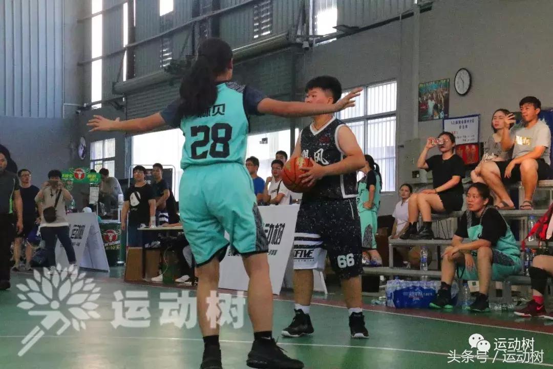 篮球嘉年华总决赛,篮球嘉年华总决赛谁赢了