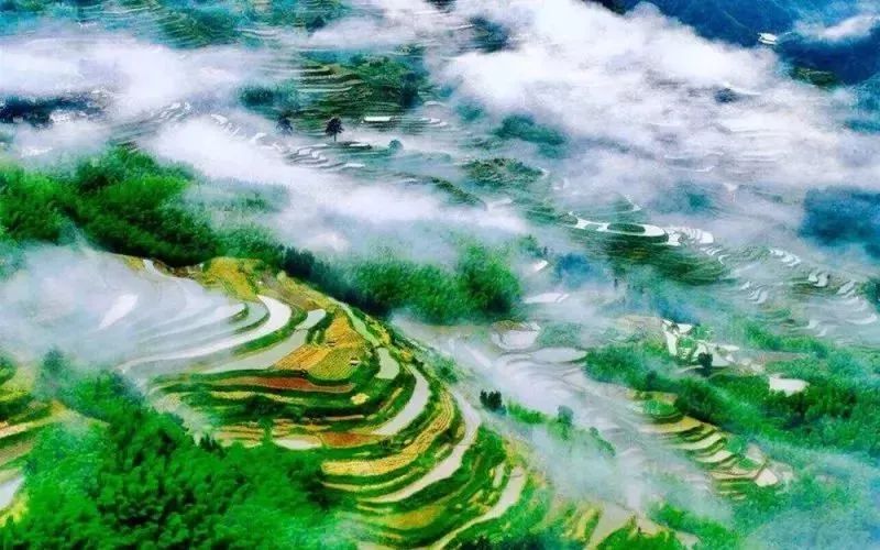 全网最好吃猪排,上海性价比最高的炸猪排