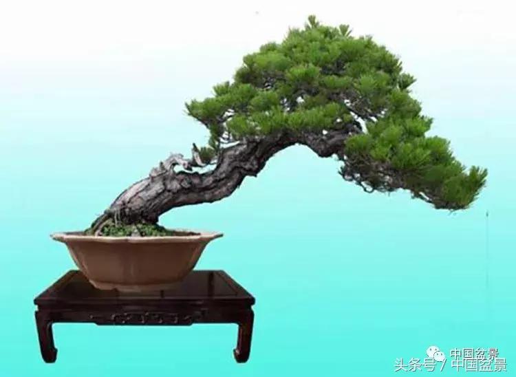 王恒亮获奖作品《虬龙出世》赏析