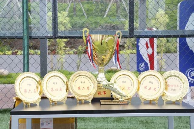 竞技绿茵,重庆高新区足球代表队