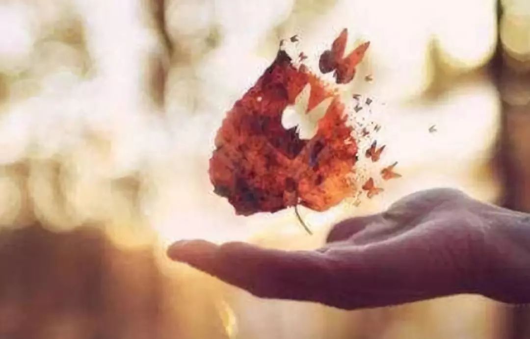 人死后游戏账号归谁管,人死后游戏账号怎么办