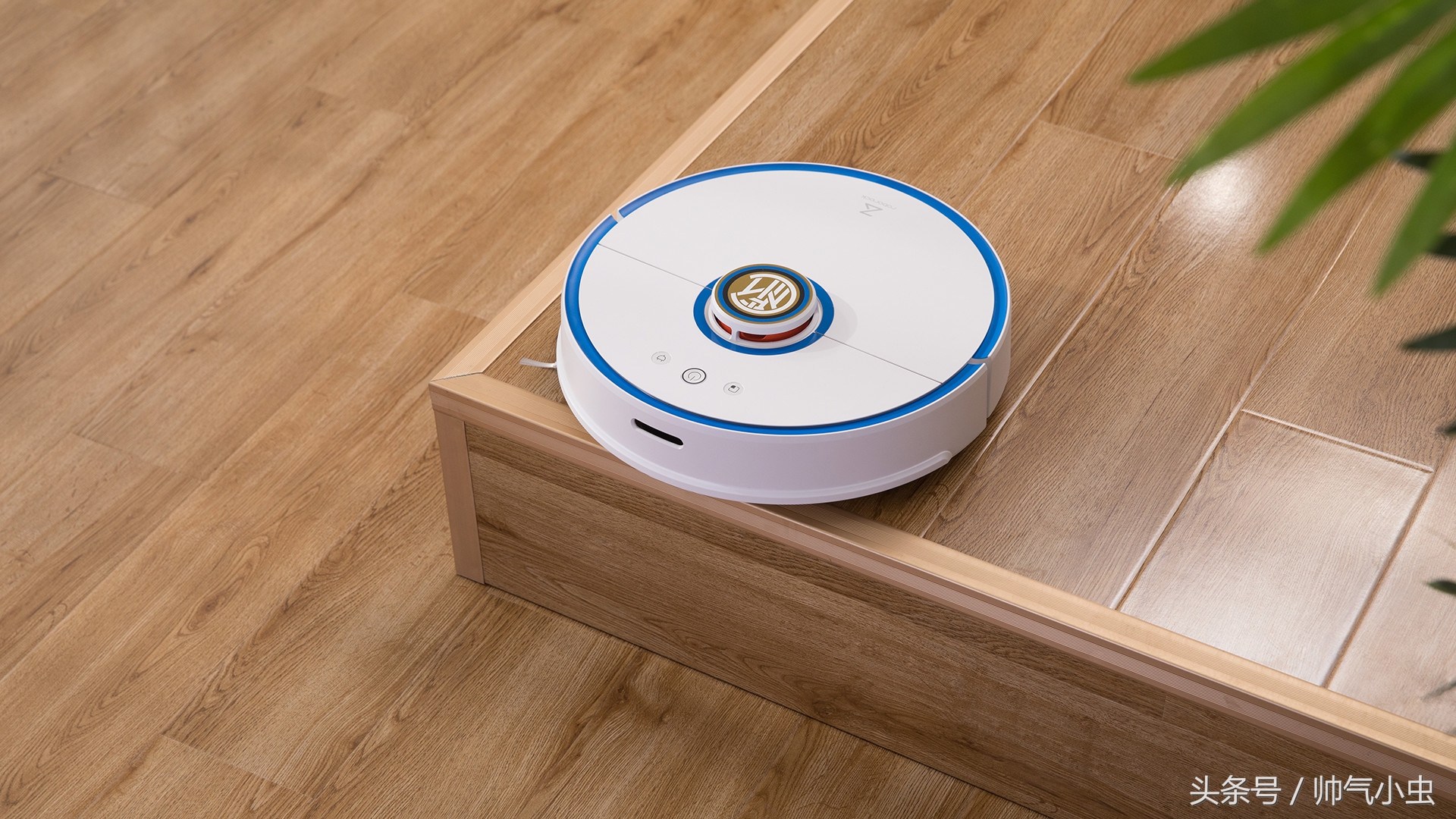 小米生态链和乐视生态链,小米和国米