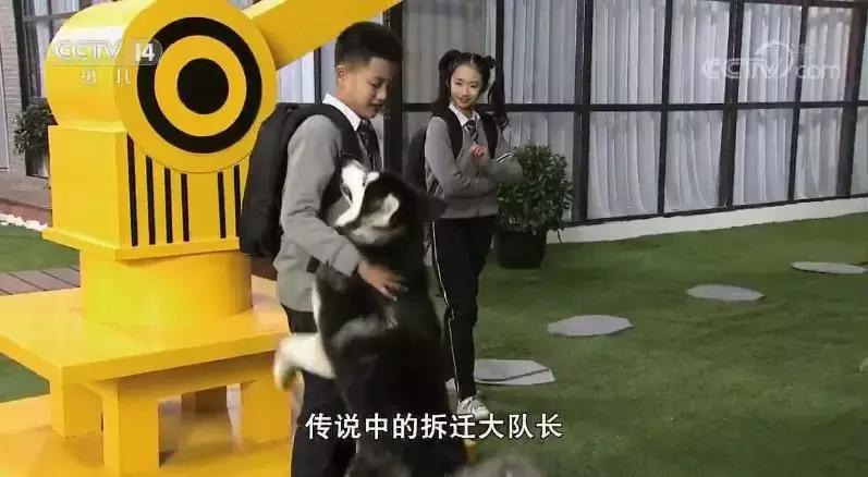 微星时代全集,微星时代免费观看完整版