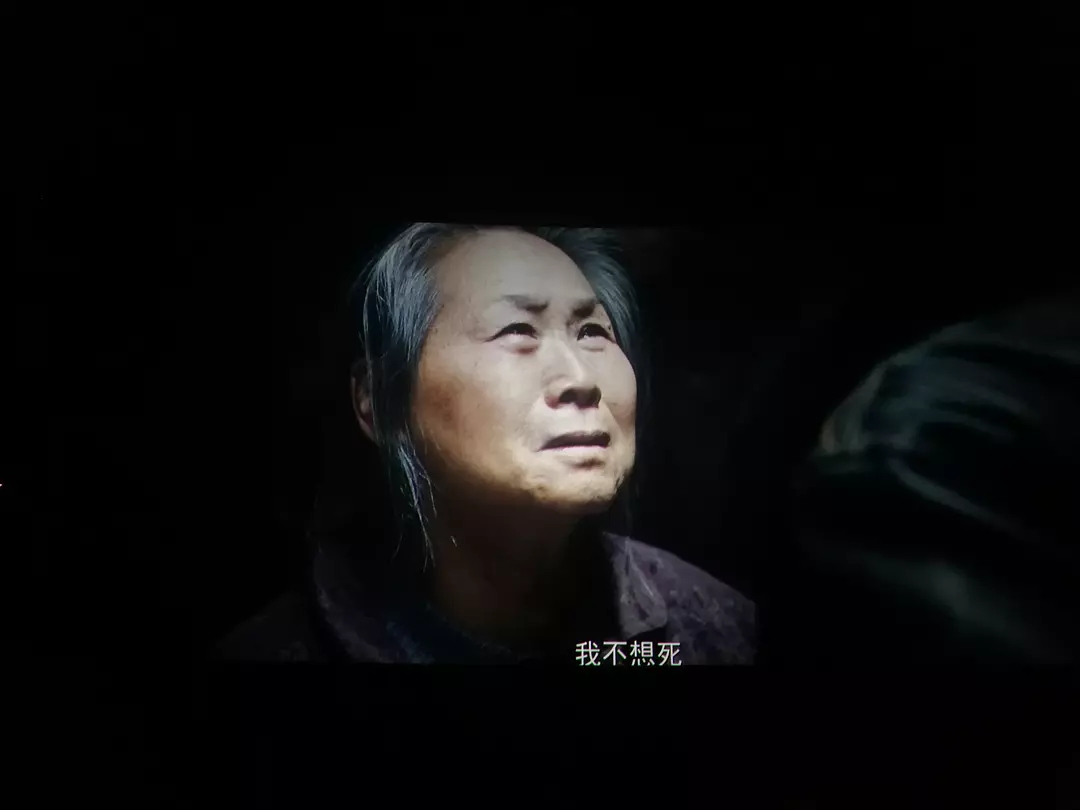 向死而生活下去全文,向死而生是勇气吗