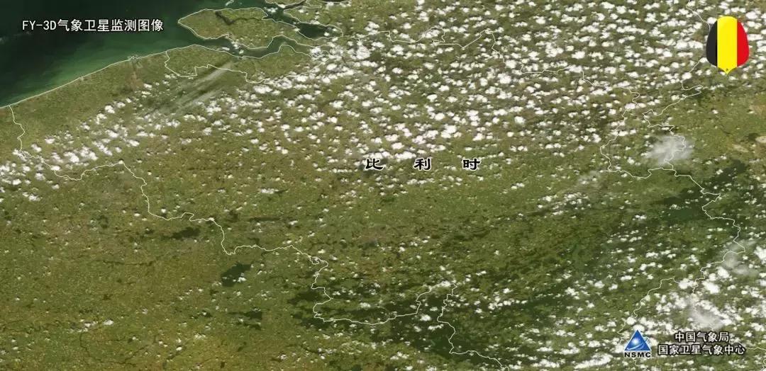 世界杯八强赛最新战况表,世界杯八强赛最新战况分析