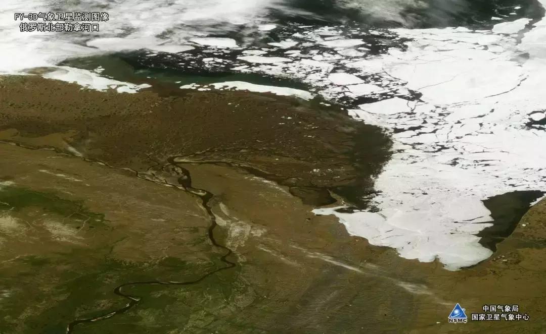 世界杯八强赛最新战况表,世界杯八强赛最新战况分析