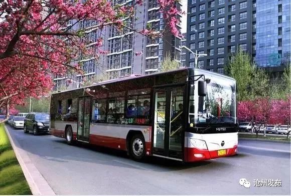 收藏！沧州最新公*班交**次表来啦~