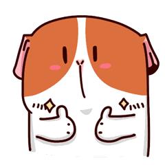 广州两条地铁新线正式开通,广州年内将建成开通三条地铁新线