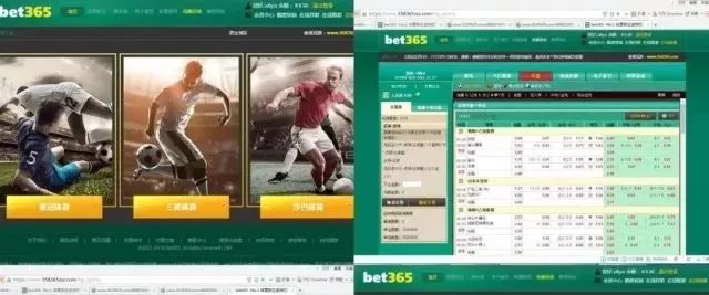 净网2019打击谣言,净网2019陷阱