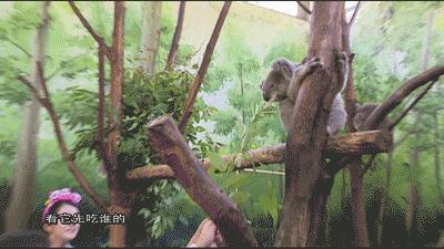 小桂英语｜周六约一波，走起！