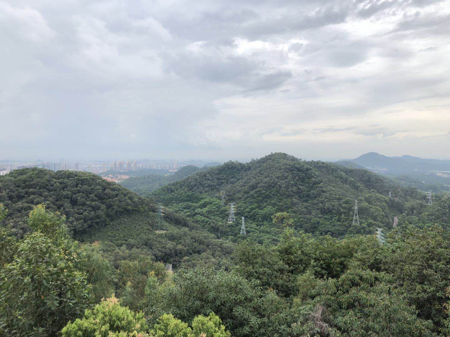 怎样才能不失去你,如何做到不失去本心