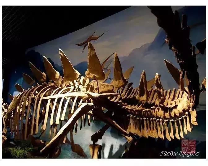 临夏万人游玩活动,济南万人游临夏