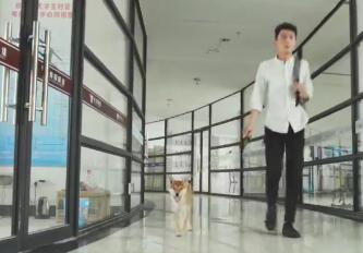 重回90年代靠卖小龙虾发家致富,90后卖鱼小伙年入千万