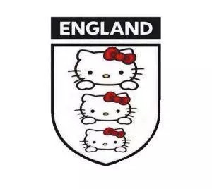 足球世界杯新手攻略,世界杯菜鸟攻略