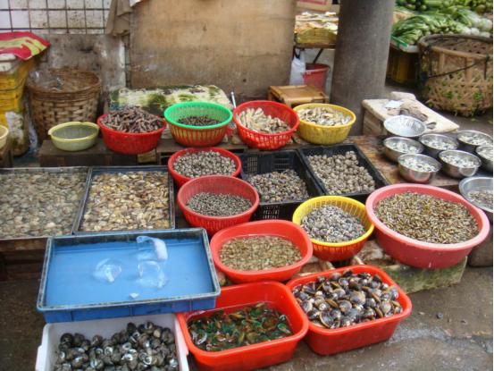 厦门去三亚旅游攻略必去景点,厦门三亚旅游攻略必去景点