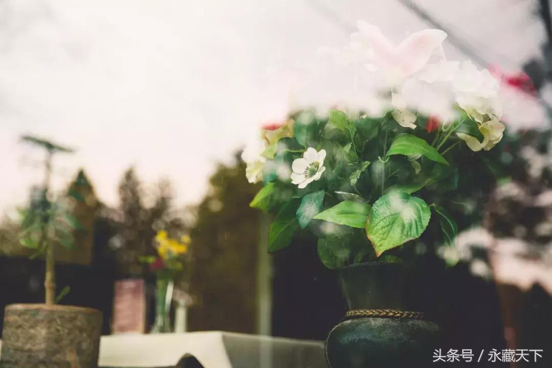 最短的诗八个字,一句诗有八个字的古诗