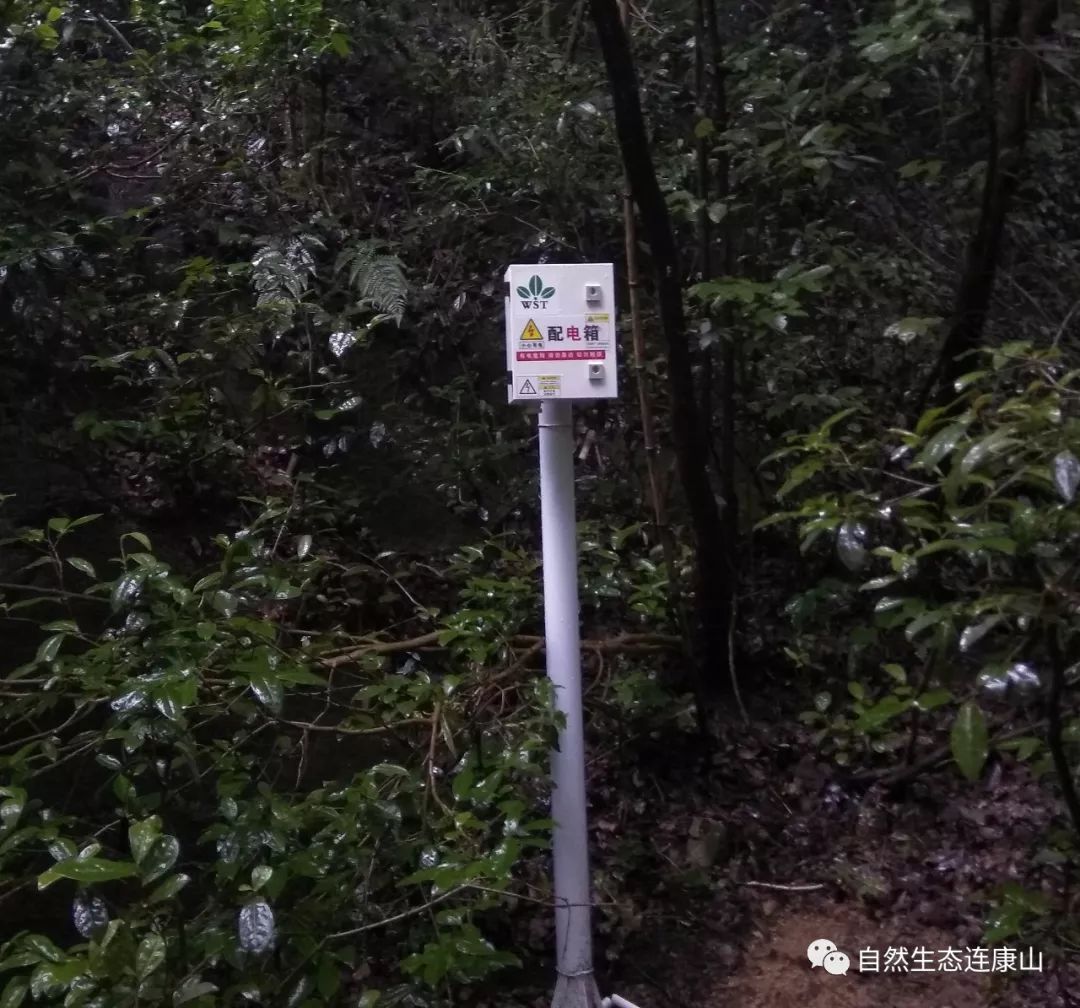 负氧离子超过50000会醉氧吗,负氧离子依然很高