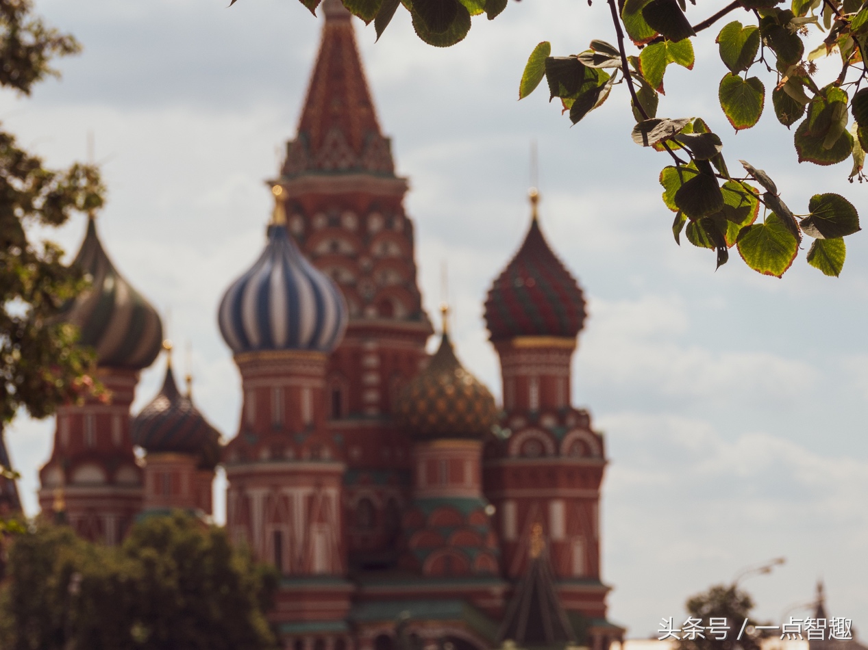 现场观看世界杯是怎样的体验？