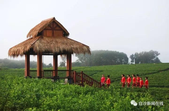 濡傛灉浣犳病鏉ヨ繃娓呮锭,濡傛灉浣犳病鏉ヨ繃绋诲煄