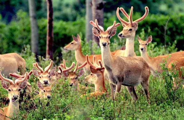 濡傛灉浣犳病鏉ヨ繃娓呮锭,濡傛灉浣犳病鏉ヨ繃绋诲煄
