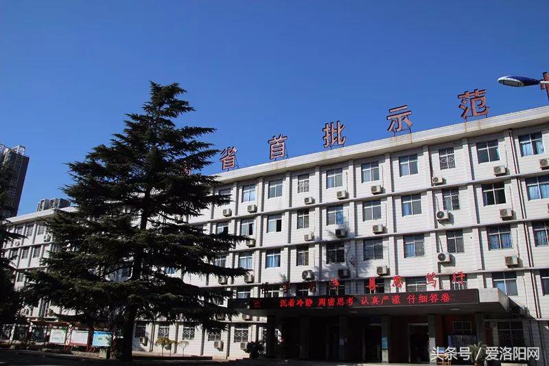 再见再见渡边淳一小说简介,再见原作