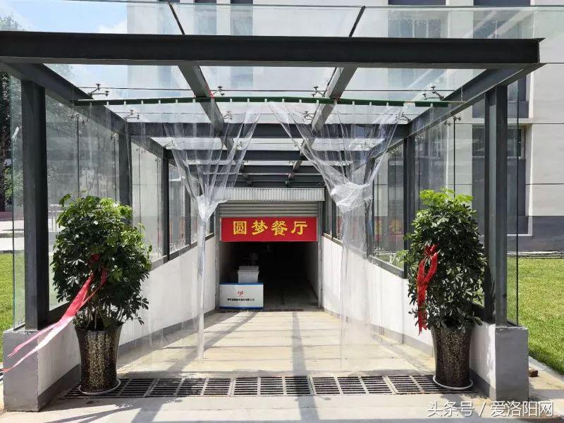 再见再见渡边淳一小说简介,再见原作