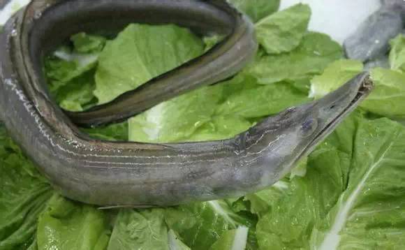 日照有什么好玩的地方,日照金山