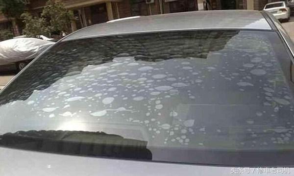 暴晒的车膜怎么处理,车暴晒后漆开裂