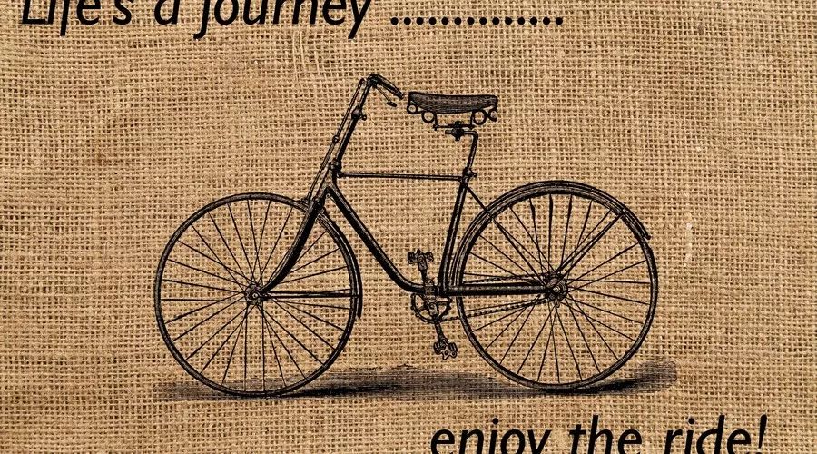 小学英语the用法,小学英语固定用法