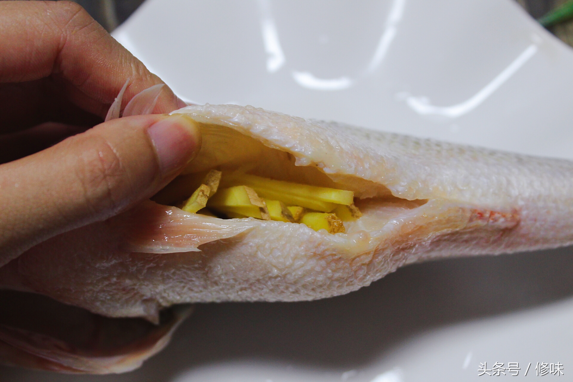 清蒸鲈鱼的正确做法和步骤,清蒸鲈鱼的做法鲜嫩q弹无腥味