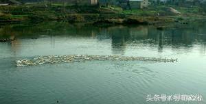 涟水县高沟镇历史,涟水高沟镇简介